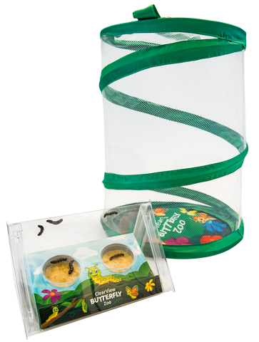 Caterpillar to Butterfly Kit: Shipped with Live Caterpillars - Nature Gift  Store