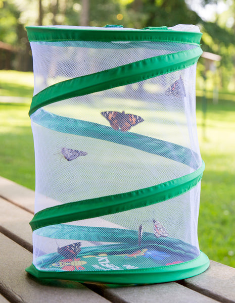 Pop-up Butterfly Cage